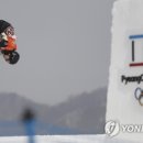 PARROT KOREA 이미지