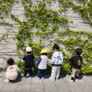 푸름이어린이집[아이행복] 이미지