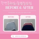 원앤온리피티 이미지