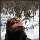 모구리야영장(대피소) | 한라산 성판악 코스 등반