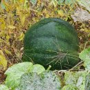 드림여수 오션힐호텔 이미지