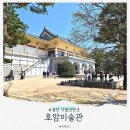 영지어린이집 | 호암미술관 겸재 정선 전시 (벚꽃, 예약, 입장료, 주차, 용인 가볼 만한 곳 정보)