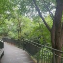 봉제산 책쉼터 이미지