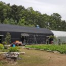 수석농장 이미지