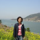 홍계산장 Daum카페