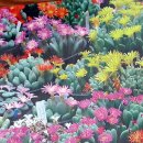 하청농장 이미지