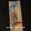 말레이시아교 이미지