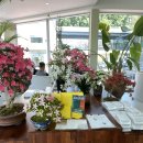 담양을 담다 | [담다] 담양을 담은 베이커리 카페