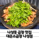 나성동_스타벅스행복타워BRT | 곱이 꽉찬 한우 소곱창 나성동 곱창 맛집 대운소곱창 나성점