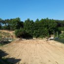 용신농장 이미지