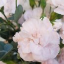 숙미용실 이미지