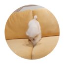 아르코광주 | [모벨라퍼니쳐] 광주시 장지동 태전 경남아너스빌 / 🐱반려동물 스크래치 없는 아르코 소파 후기🐶