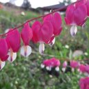 축구장 옆 화단 이미지