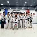 백양동아태권도장 이미지