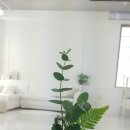 스튜디오안녕나츠 이미지
