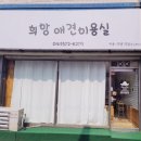 희망애견미용실 이미지