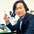 인피노