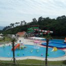 대도 한국일보