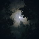 신명민박 이미지