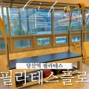 플로우리클래식필라테스 | 당산 필라테스 클래식 필라테스 플로 1:1 개인레슨 솔직후기 체형교정 추천