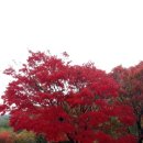 비룡민박 이미지