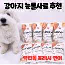 바래실천 | 강아지 연어 눈물사료 추천 : 12년 고집 닥터독 연어 사료로 바꾼 솔직 후기