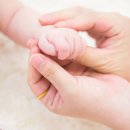 [학점은행제] 통합실습 이미지