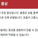 결우천 이미지