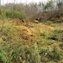 가나안농장 이미지