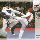 맥시멈 태권도 이미지