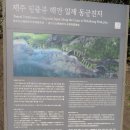 제주 일출봉 해안 일제동굴진지 이미지