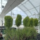 대형농장 이미지