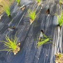 후겸농장 이미지