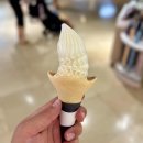 소프트밀크마켓 다이닝코드