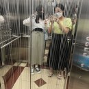 육층약국 이미지