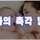 잉글리시에그강서센터 이미지