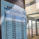 길갈영농조합법인 | [제주도/우도] 성산항에서 우도 가는 배편 꿀팁과 전기자전거 대여, 땅콩 기념품샵 후기