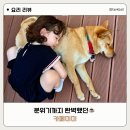 왕길동카페 감성 제대로였던 카페 미미 추천
