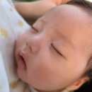 서영이 할머니네 네이버블로그
