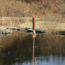 거창생태공원 화장실 이미지