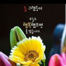 3월9일 👭봄 처녀👭&건강정보 이미지