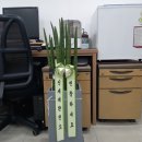 명동부동산공인중개사사무소 이미지