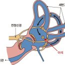 온기담은 한의원 네이버블로그