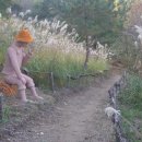 황부자 며느리 친정가는 둘레길 이미지