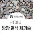 아이조은동물병원 이미지