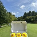 라인골프 | 골프선물추천 라인프렌즈 샐리X볼빅골프공&amp;볼파우치 후기!