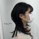 분당중학교 뒤 | 분당 미금역 미용실, 카리나 중단발 허쉬컷 맛집은 어디? 내 얼굴 맞춤 디자인