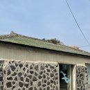 계룡농업기술센터본관-계룡시(공용)-2-200 | 제주도 2박3일 코스 제주도 서쪽 코스 제주 유채꽃 우진해장국 제주카페 1일차