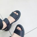 나르지오가정점