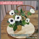 오래꽃센터 중앙일보